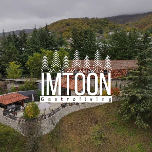 ImToon Dilijan